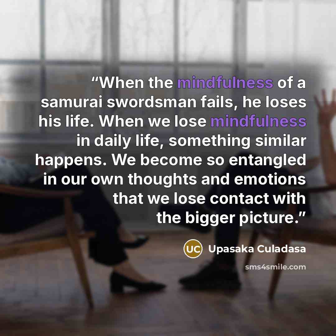 “When the mindfulness of a samurai swordsman fails, he loses his life. When we lose mindfulness in daily life, something similar happens. We become so entangled in our own thoughts and emotions that we lose contact with the bigger picture.” quote by Upasaka Culadasa