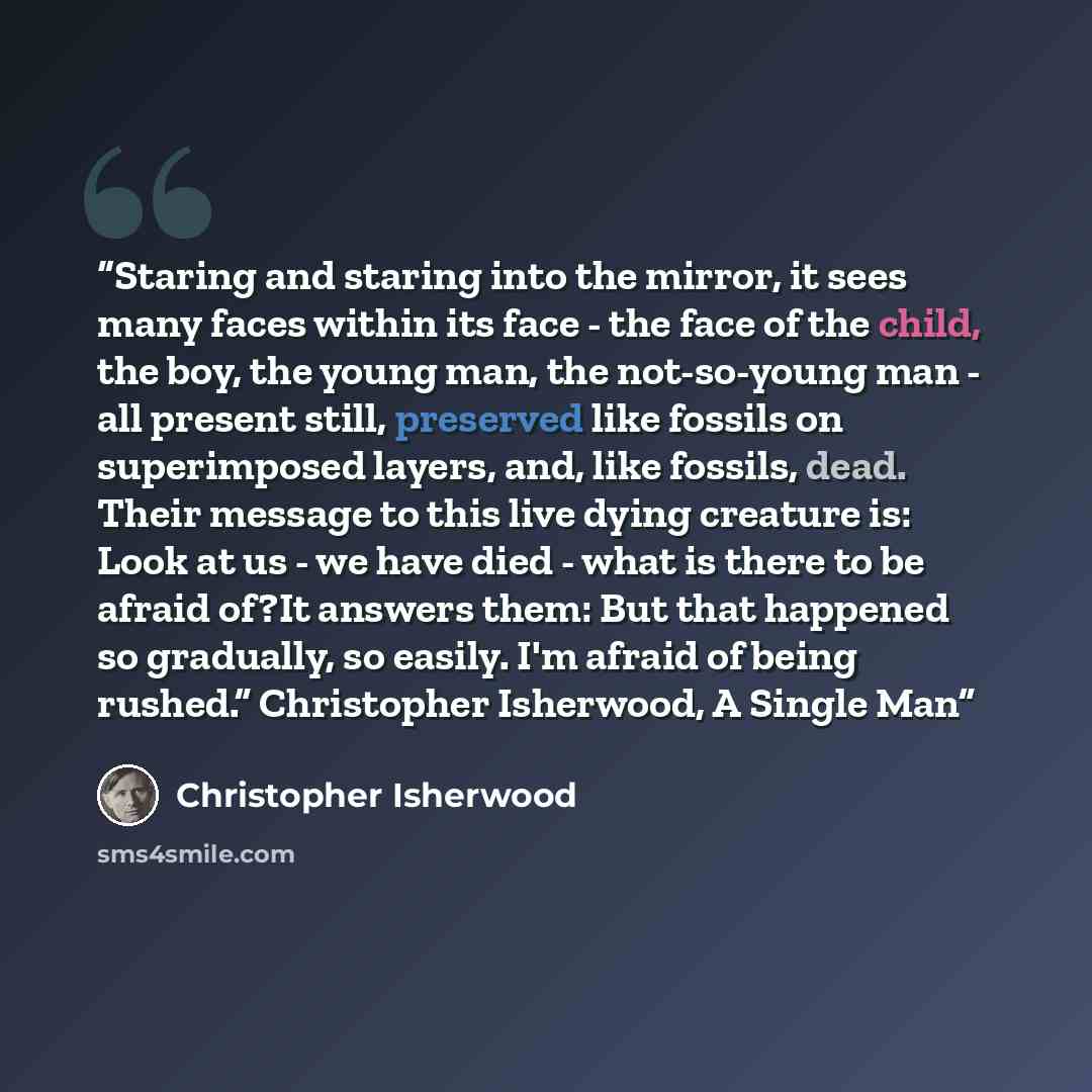 “Staring and staring into the mirror, it sees many faces within its face - the face of the child, the boy, the young man, the not-so-young man - all present still, preserved like fossils on superimposed layers, and, like fossils, dead. Their message to this live dying creature is: Look at us - we…” quote by Christopher Isherwood