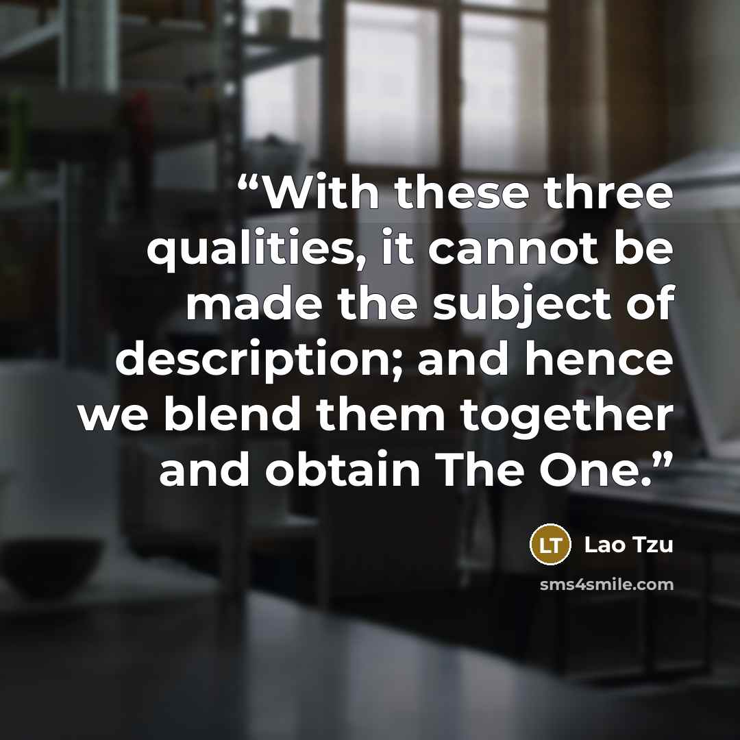“With these three qualities, it cannot be made the subject of description; and hence we blend them together and obtain The One.” quote by Lao Tzu