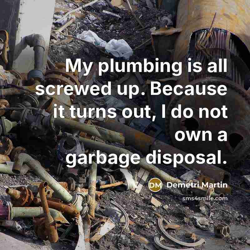 “My plumbing is all screwed up. Because it turns out, I do not own a garbage disposal.” quote by Demetri Martin