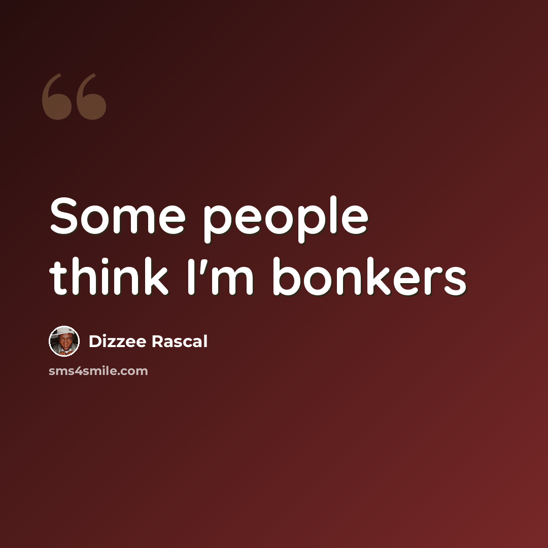“Some people think I'm bonkers” quote by Dizzee Rascal