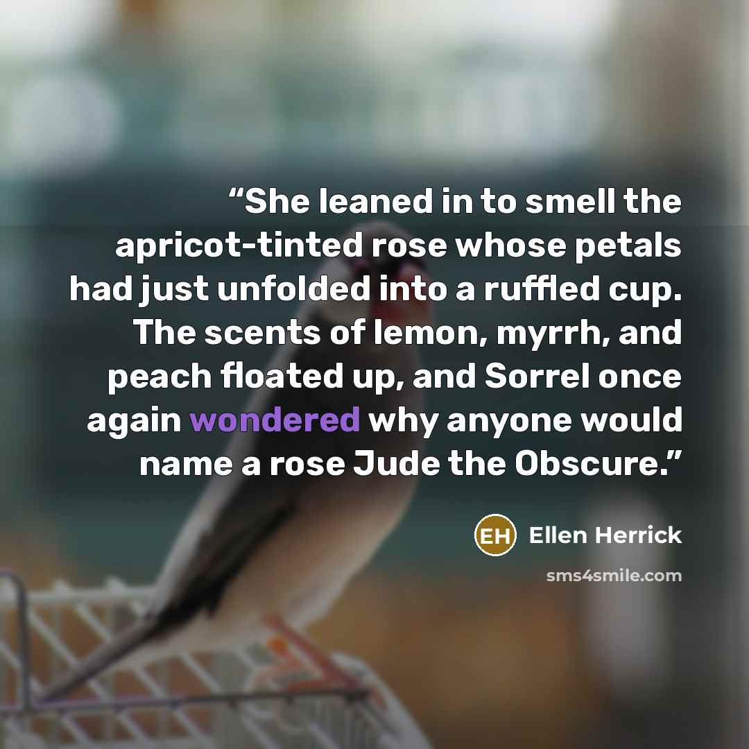 “She leaned in to smell the apricot-tinted rose whose petals had just unfolded into a ruffled cup. The scents of lemon, myrrh, and peach floated up, and Sorrel once again wondered why anyone would name a rose Jude the Obscure.” quote by Ellen Herrick