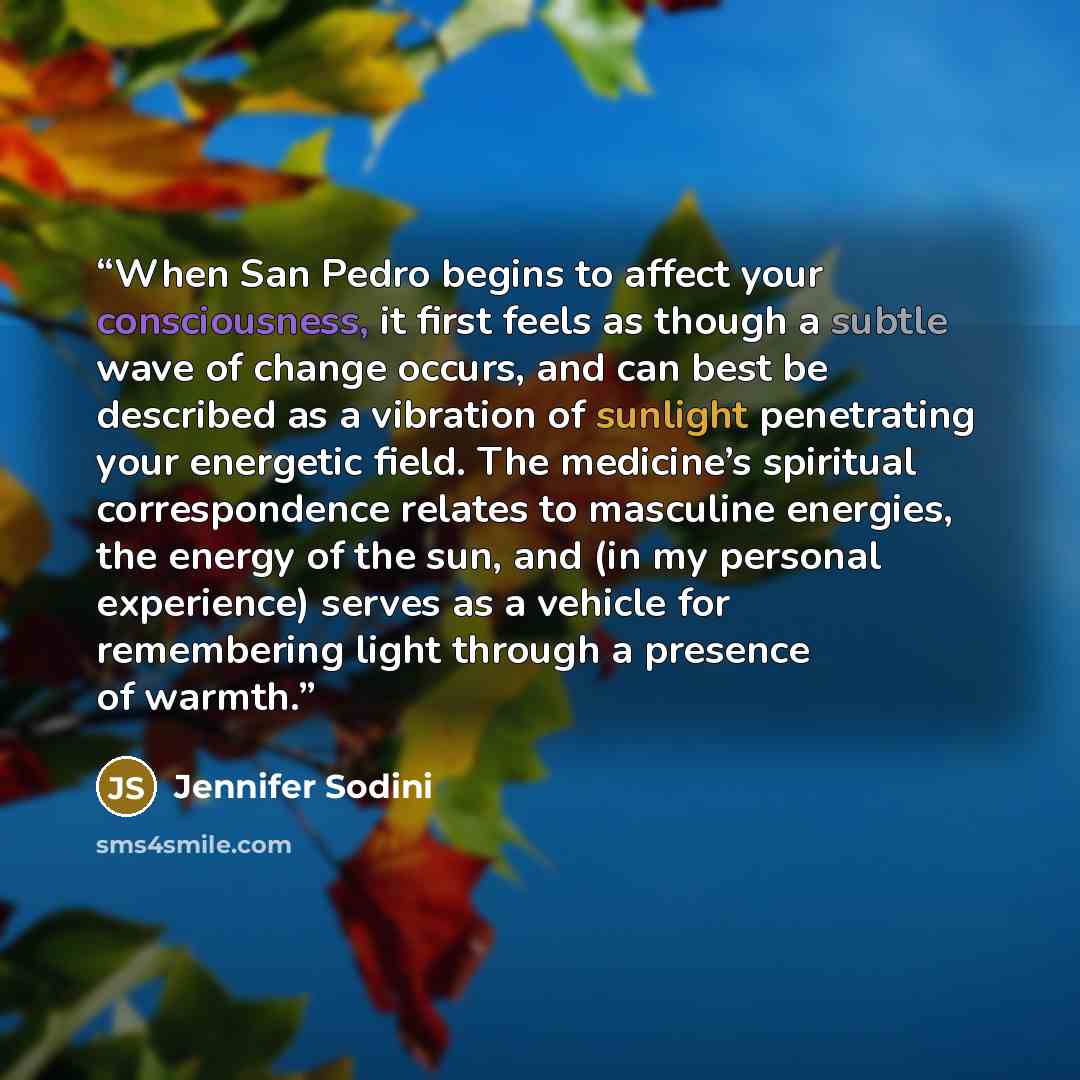 “When San Pedro begins to affect your consciousness, it first feels as though a subtle wave of change occurs, and can best be described as a vibration of sunlight penetrating your energetic field. The medicine’s spiritual correspondence relates to masculine energies, the energy of the sun, and (in…” quote by Jennifer Sodini