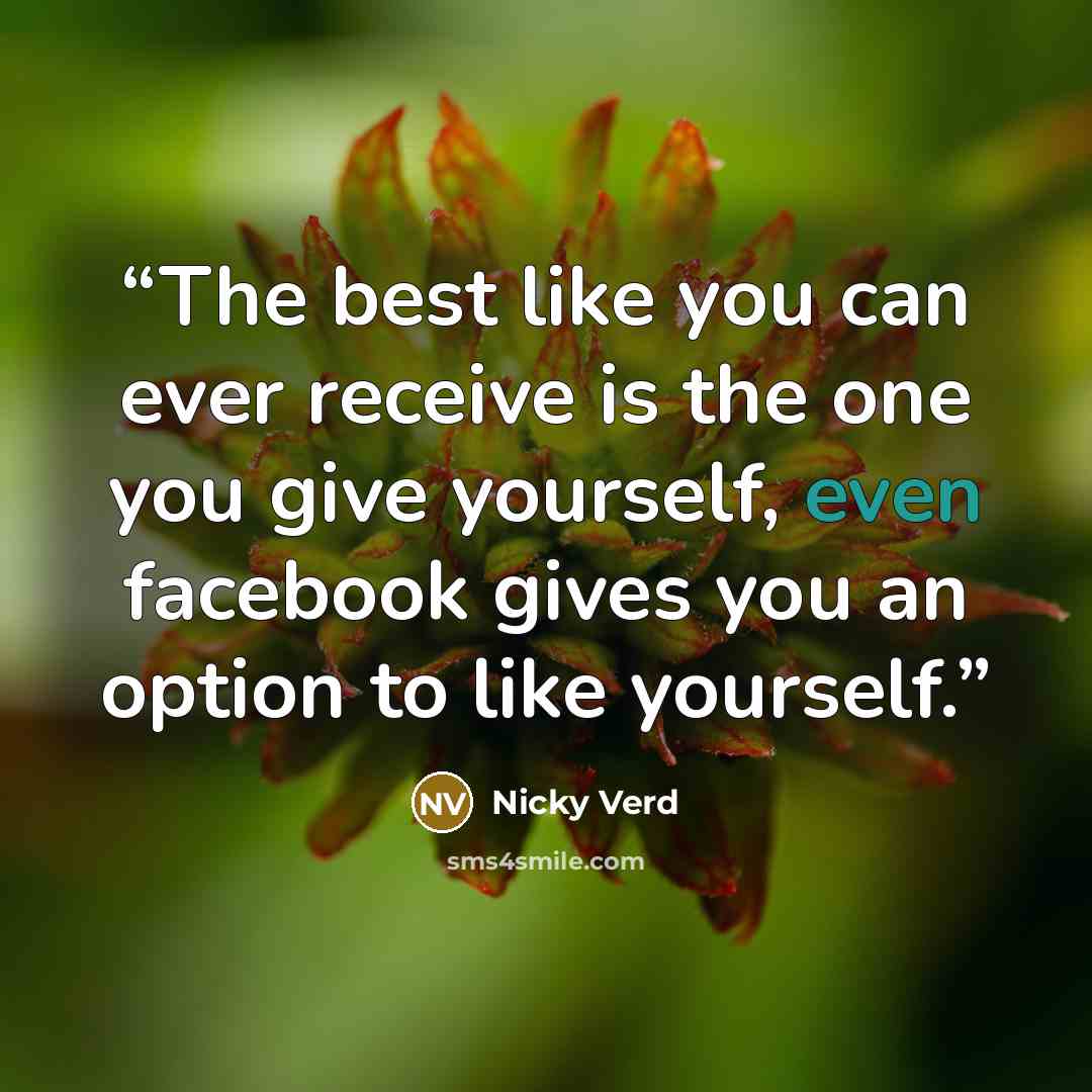 “The best like you can ever receive is the one you give yourself, even facebook gives you an option to like yourself.” quote by Nicky Verd