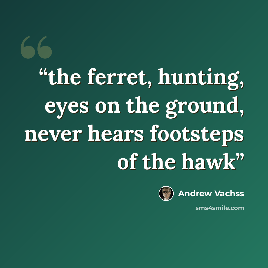 “the ferret, hunting, eyes on the ground, never hears footsteps of the hawk” quote by Andrew Vachss