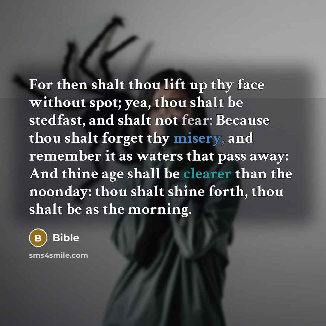 “For then shalt thou lift up thy face without spot; yea, thou shalt be stedfast, and shalt not fear: Because thou shalt forget thy misery, and remember it as waters that pass away: And thine age shall be clearer than the noonday: thou shalt shine forth, thou shalt be as the morning.” quote by Bible