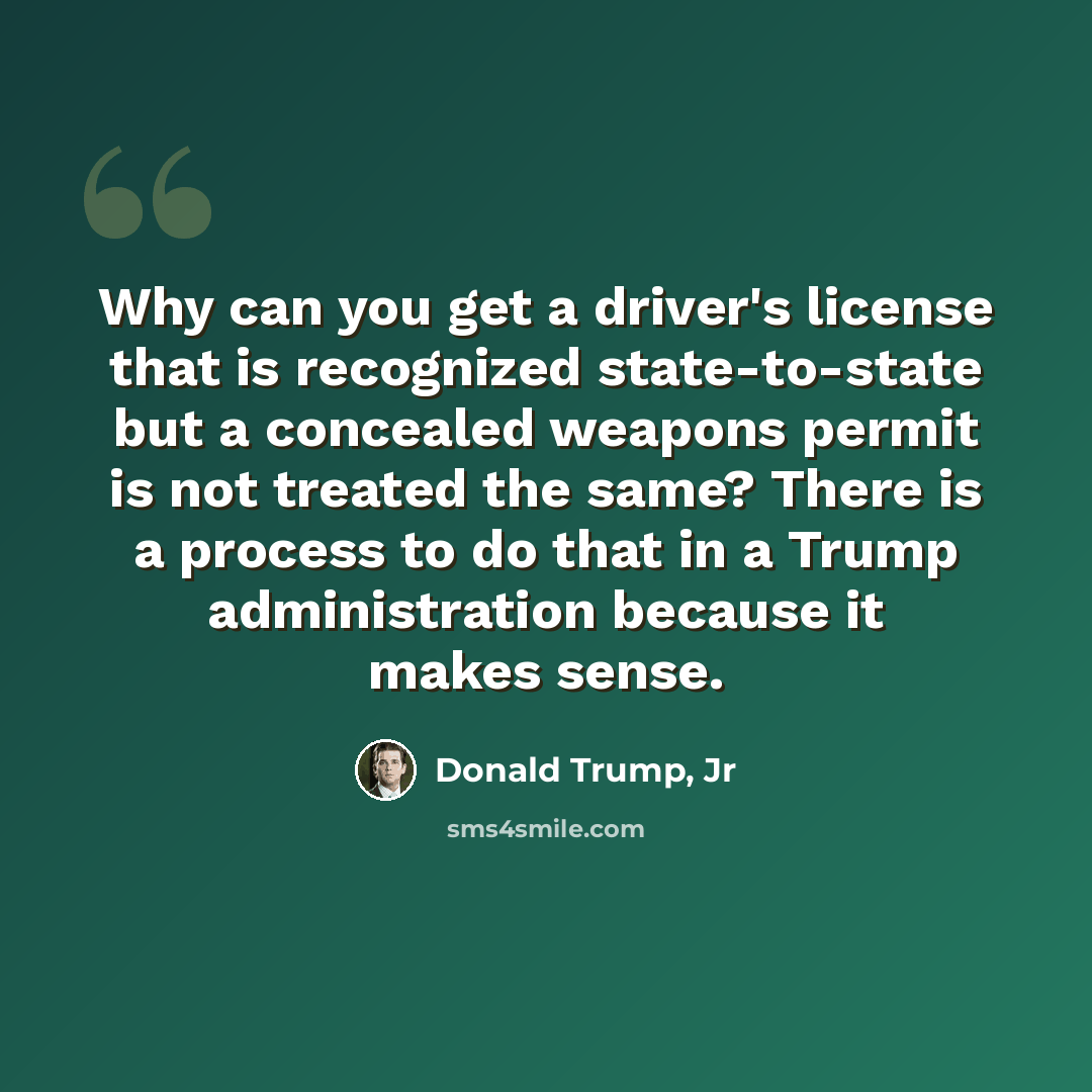 “Why can you get a driver's license that is recognized state-to-state but a concealed weapons permit is not treated the same? There is a process to do that in a Trump administration because it makes sense.” quote by Donald Trump, Jr