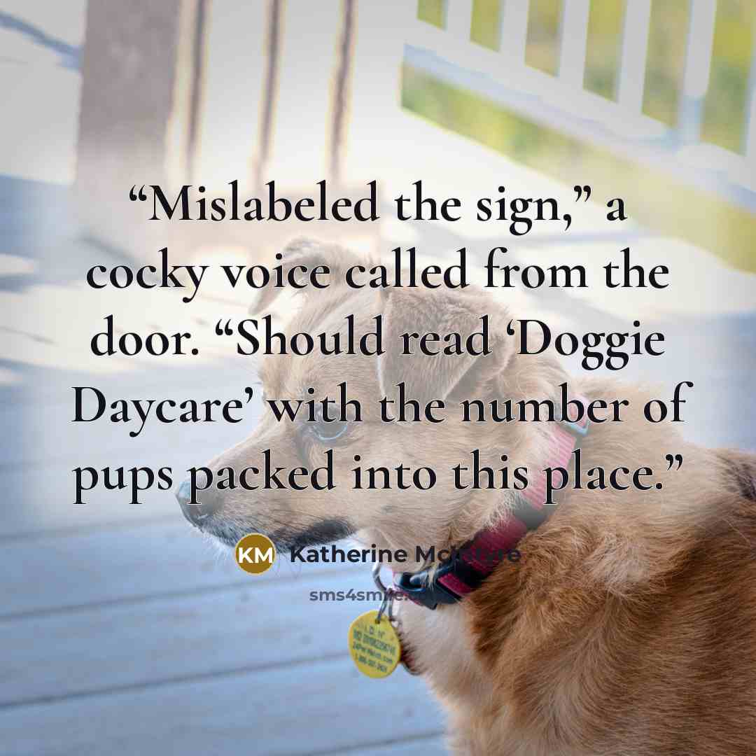 “Mislabeled the sign,” a cocky voice called from the door. “Should read ‘Doggie Daycare’ with the number of pups packed into this place.” quote by Katherine McIntyre