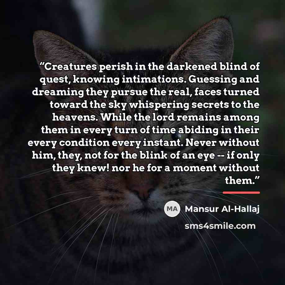 “Creatures perish in the darkened blind of quest, knowing intimations. Guessing and dreaming they pursue the real, faces turned toward the sky whispering secrets to the heavens. While the lord remains among them in every turn of time abiding in their every condition every instant. Never without…” quote by Mansur al-Hallaj