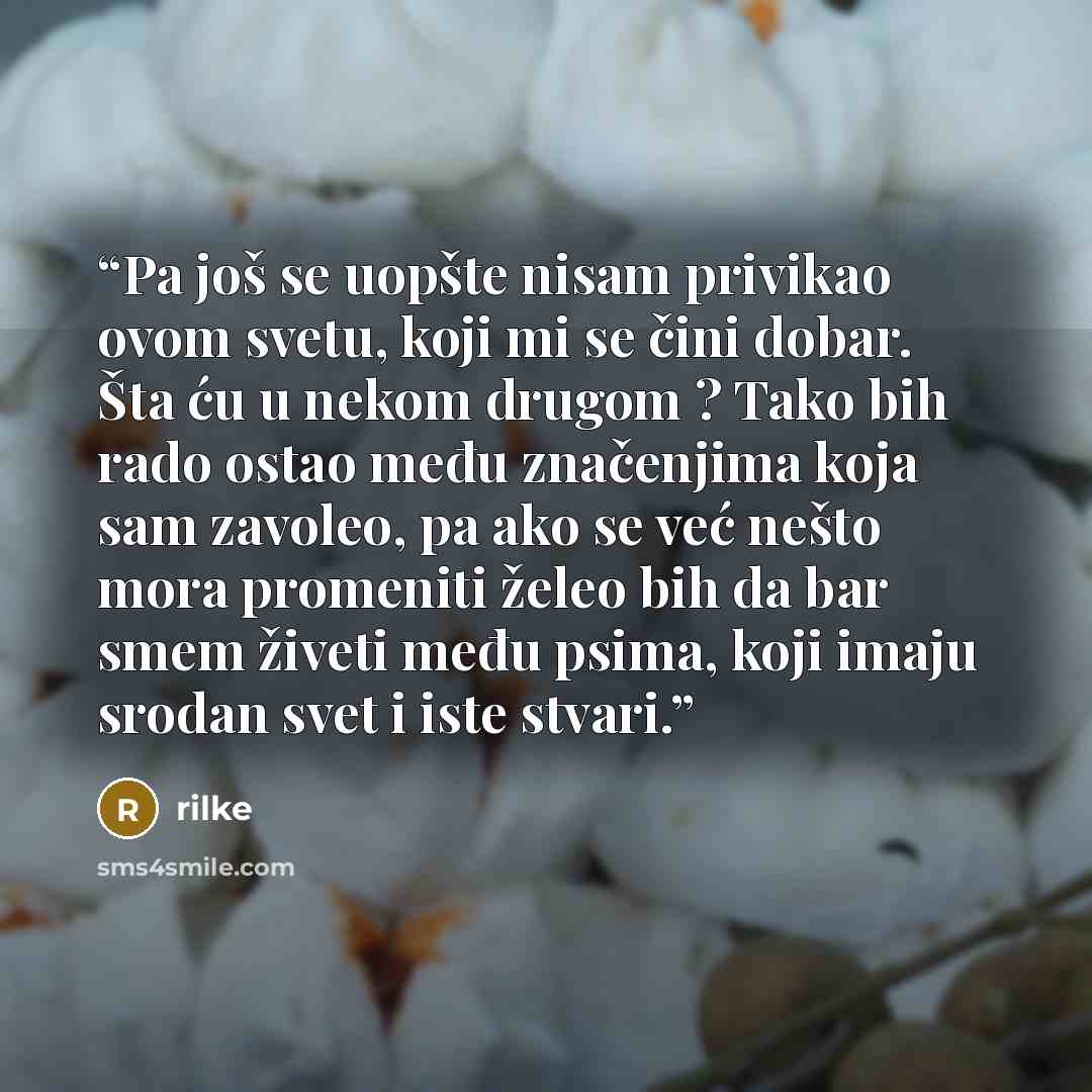 “Pa još se uopšte nisam privikao ovom svetu, koji mi se čini dobar. Šta ću u nekom drugom ? Tako bih rado ostao među značenjima koja sam zavoleo, pa ako se već nešto mora promeniti želeo bih da bar smem živeti među psima, koji imaju srodan svet i iste stvari.” quote by Rilke