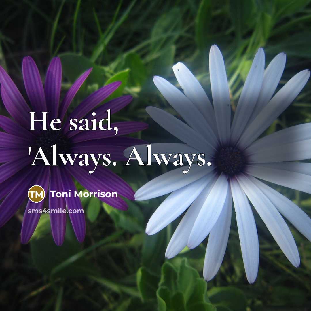 “He said, 'Always. Always.” quote by Toni Morrison