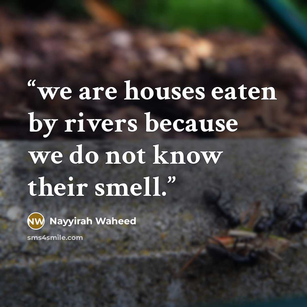 “we are houses eaten by rivers because we do not know their smell.” quote by Nayyirah Waheed