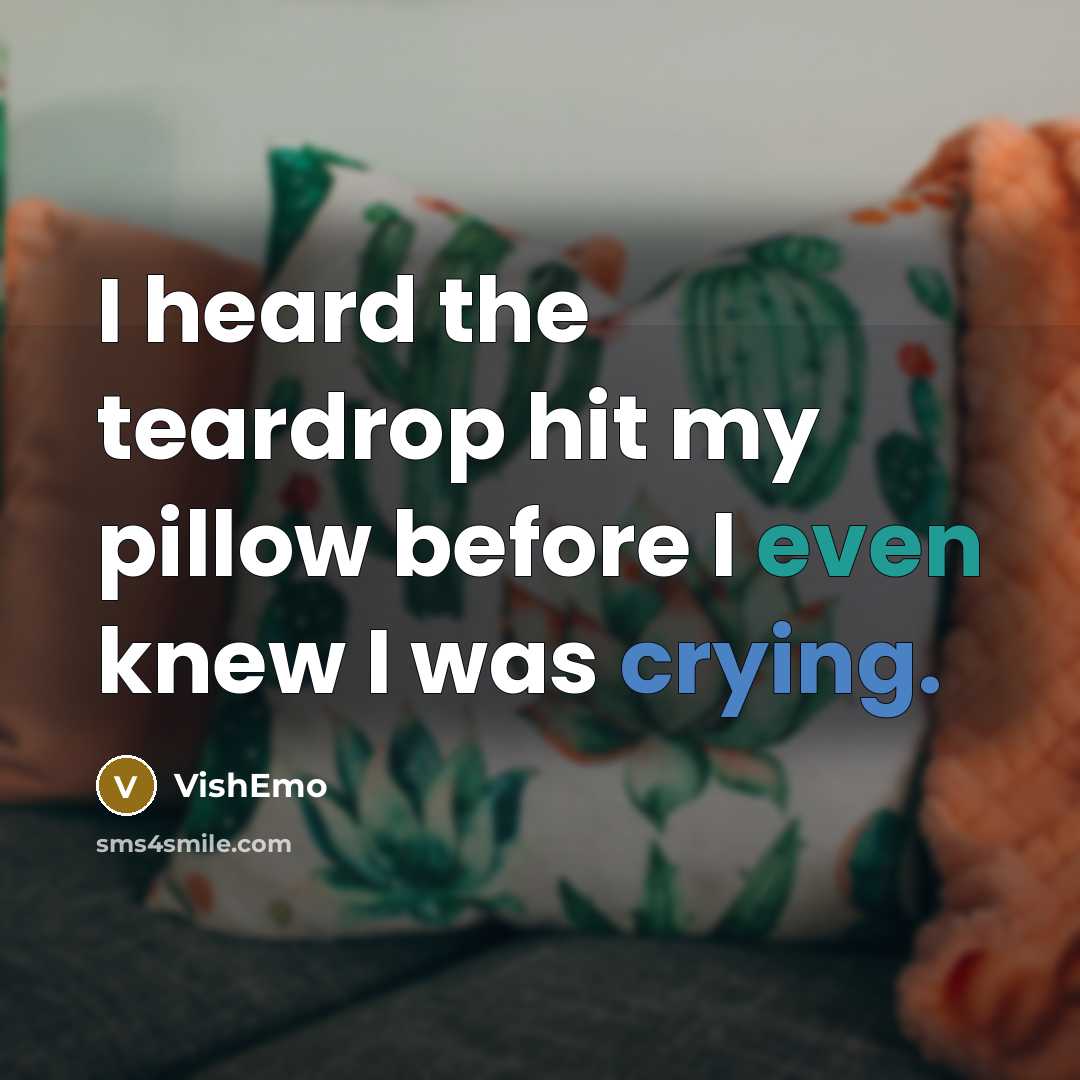 “I heard the teardrop hit my pillow before I even knew I was crying.” quote by VishEmo