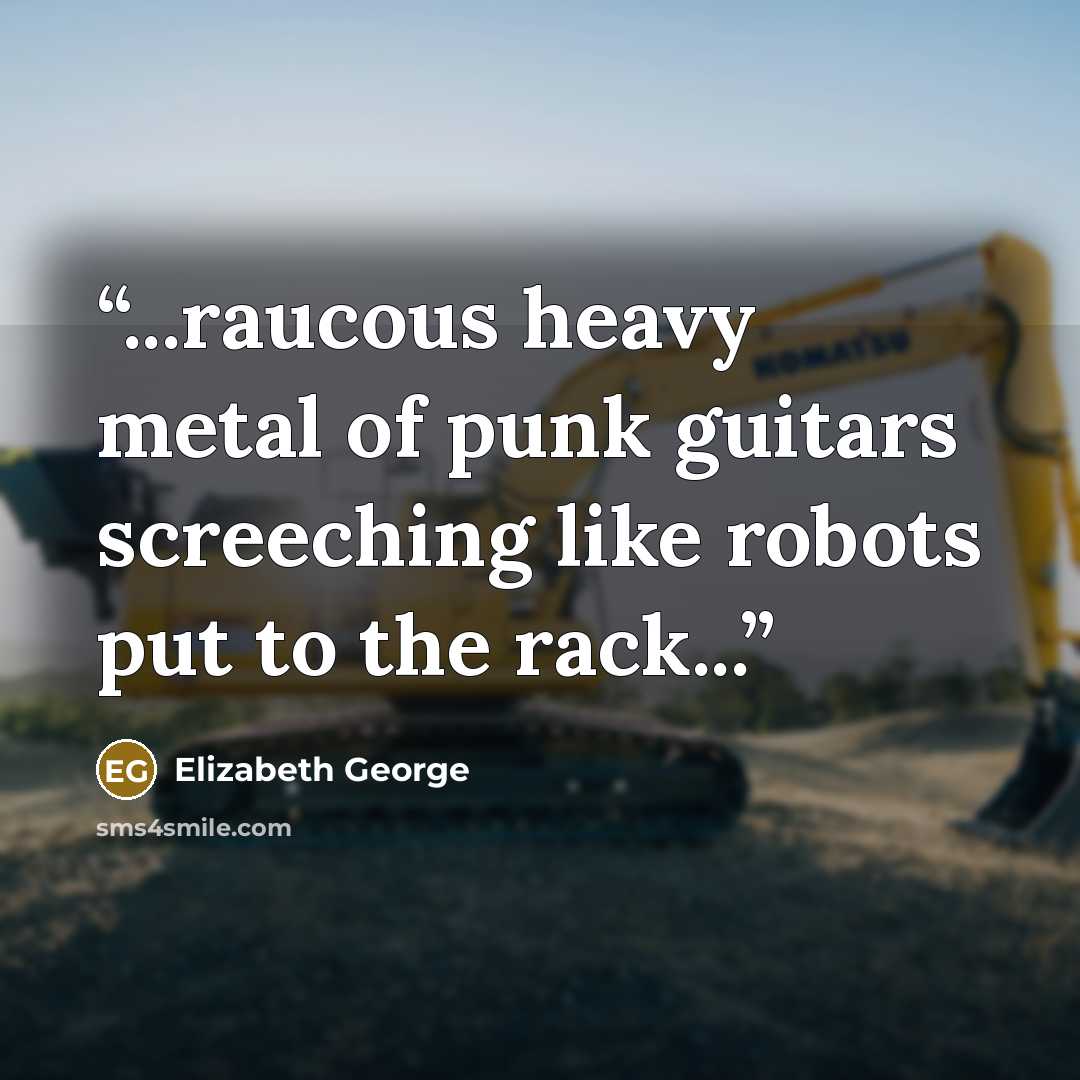 “...raucous heavy metal of punk guitars screeching like robots put to the rack...” quote by Elizabeth George