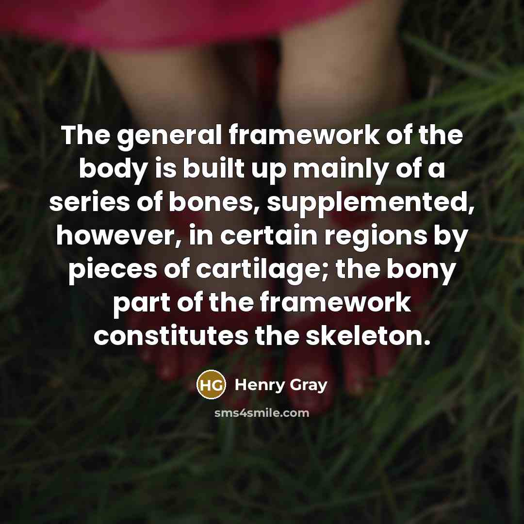 “The general framework of the body is built up mainly of a series of bones, supplemented, however, in certain regions by pieces of cartilage; the bony part of the framework constitutes the skeleton.” quote by Henry Gray