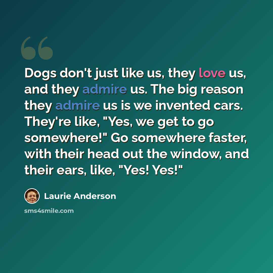 “Dogs don't just like us, they love us, and they admire us. The big reason they admire us is we invented cars. They're like, "Yes, we get to go somewhere!" Go somewhere faster, with their head out the window, and their ears, like, "Yes! Yes!"” quote by Laurie Anderson