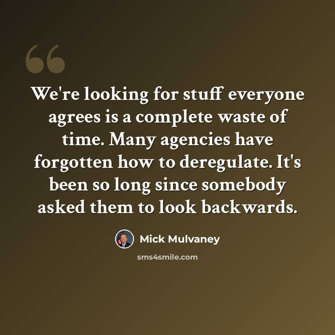 “We're looking for stuff everyone agrees is a complete waste of time. Many agencies have forgotten how to deregulate. It's been so long since somebody asked them to look backwards.” quote by Mick Mulvaney