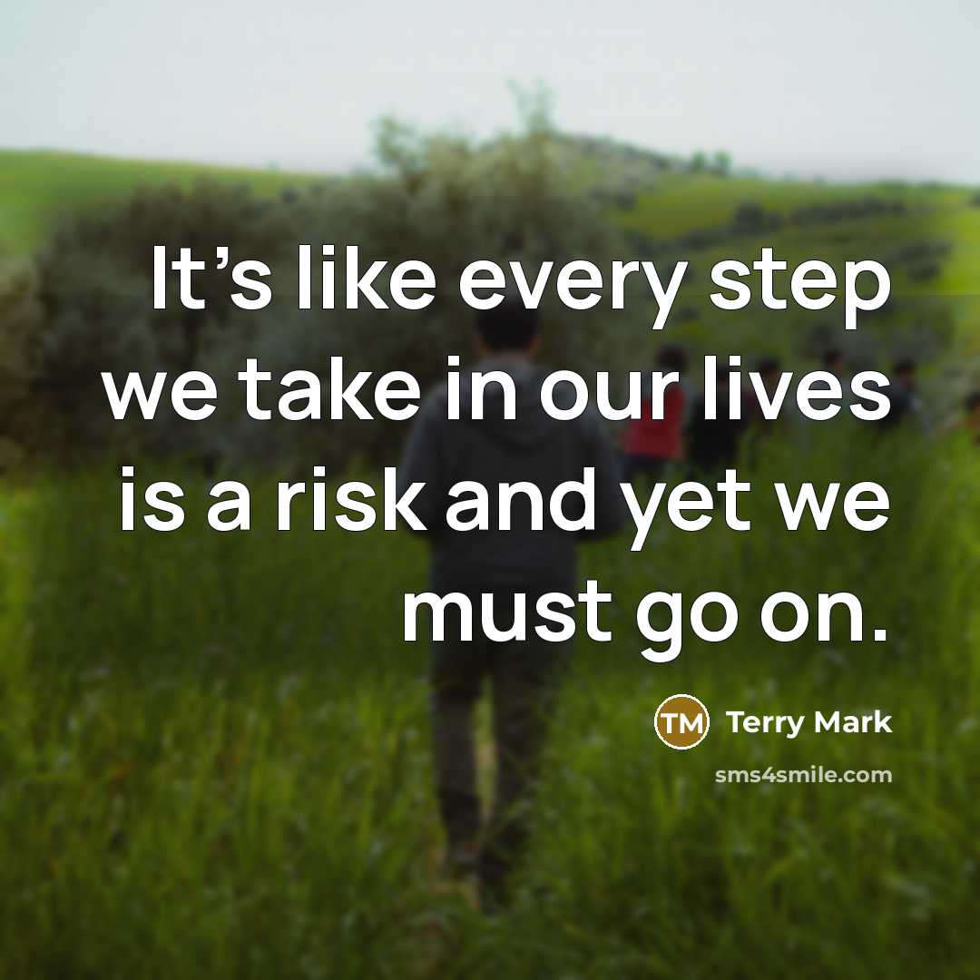 “It's like every step we take in our lives is a risk and yet we must go on.” quote by Terry Mark