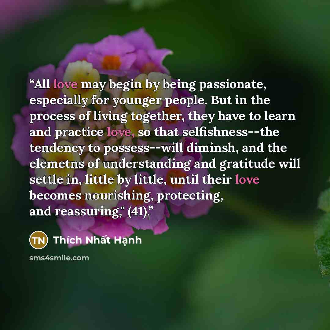 “All love may begin by being passionate, especially for younger people. But in the process of living together, they have to learn and practice love, so that selfishness--the tendency to possess--will diminsh, and the elemetns of understanding and gratitude will settle in, little by little, until…” quote by Thich Nhat Hanh