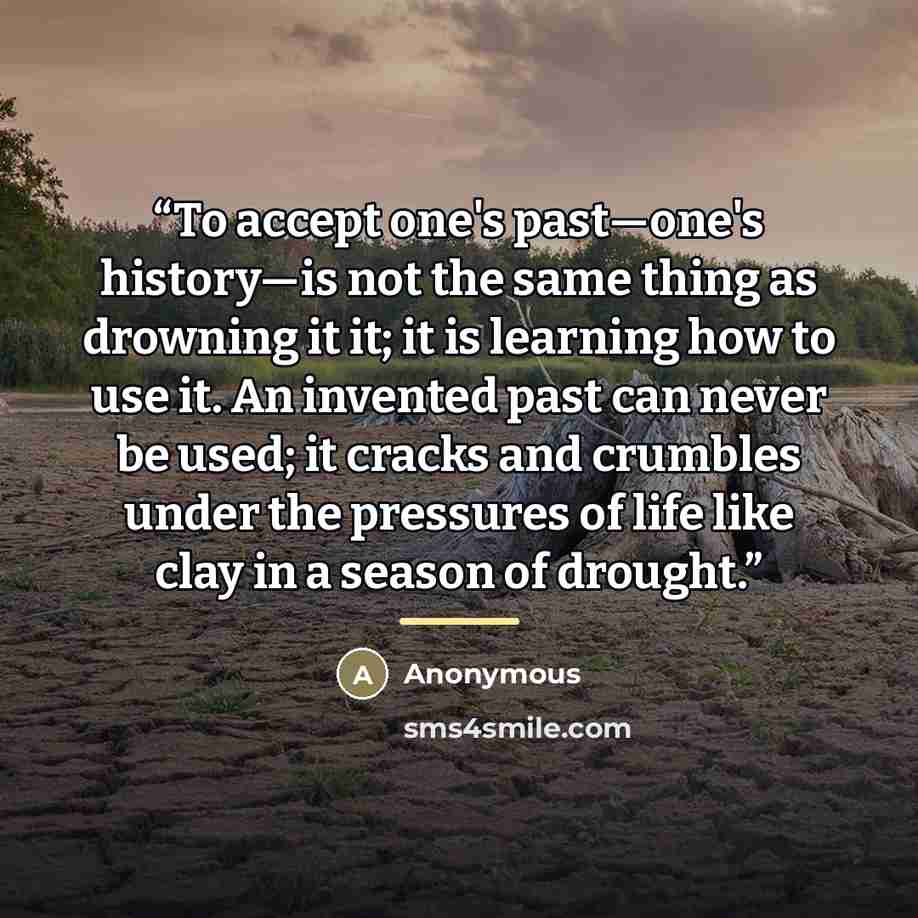 “To accept one's past—one's history—is not the same thing as drowning it it; it is learning how to use it. An invented past can never be used; it cracks and crumbles under the pressures of life like clay in a season of drought.” quote by Anonymous