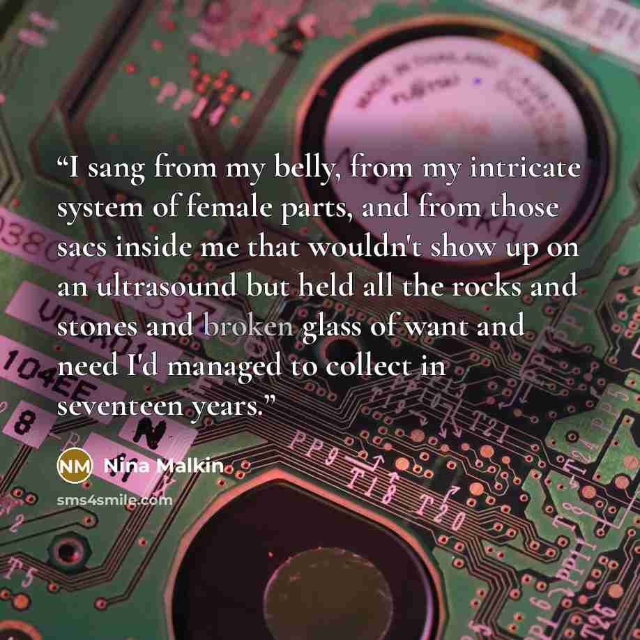 “I sang from my belly, from my intricate system of female parts, and from those sacs inside me that wouldn't show up on an ultrasound but held all the rocks and stones and broken glass of want and need I'd managed to collect in seventeen years.” quote by Nina Malkin