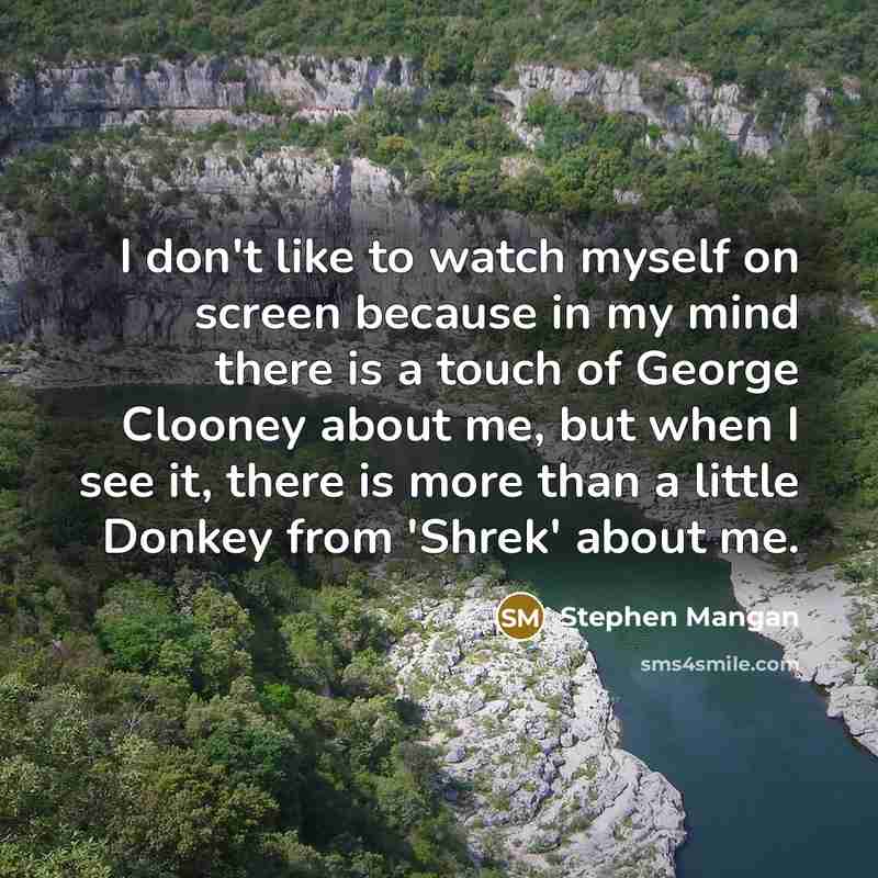 “I don't like to watch myself on screen because in my mind there is a touch of George Clooney about me, but when I see it, there is more than a little Donkey from 'Shrek' about me.” quote by Stephen Mangan