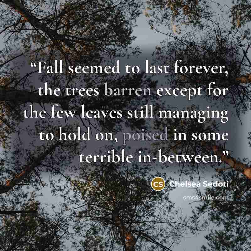 “Fall seemed to last forever, the trees barren except for the few leaves still managing to hold on, poised in some terrible in-between.” quote by Chelsea Sedoti