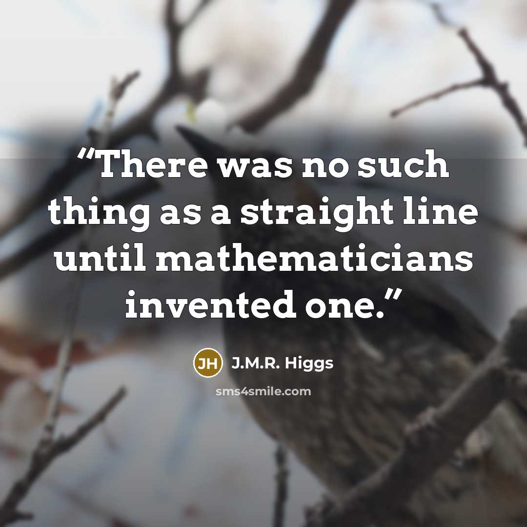 “There was no such thing as a straight line until mathematicians invented one.” quote by J.M.R. Higgs