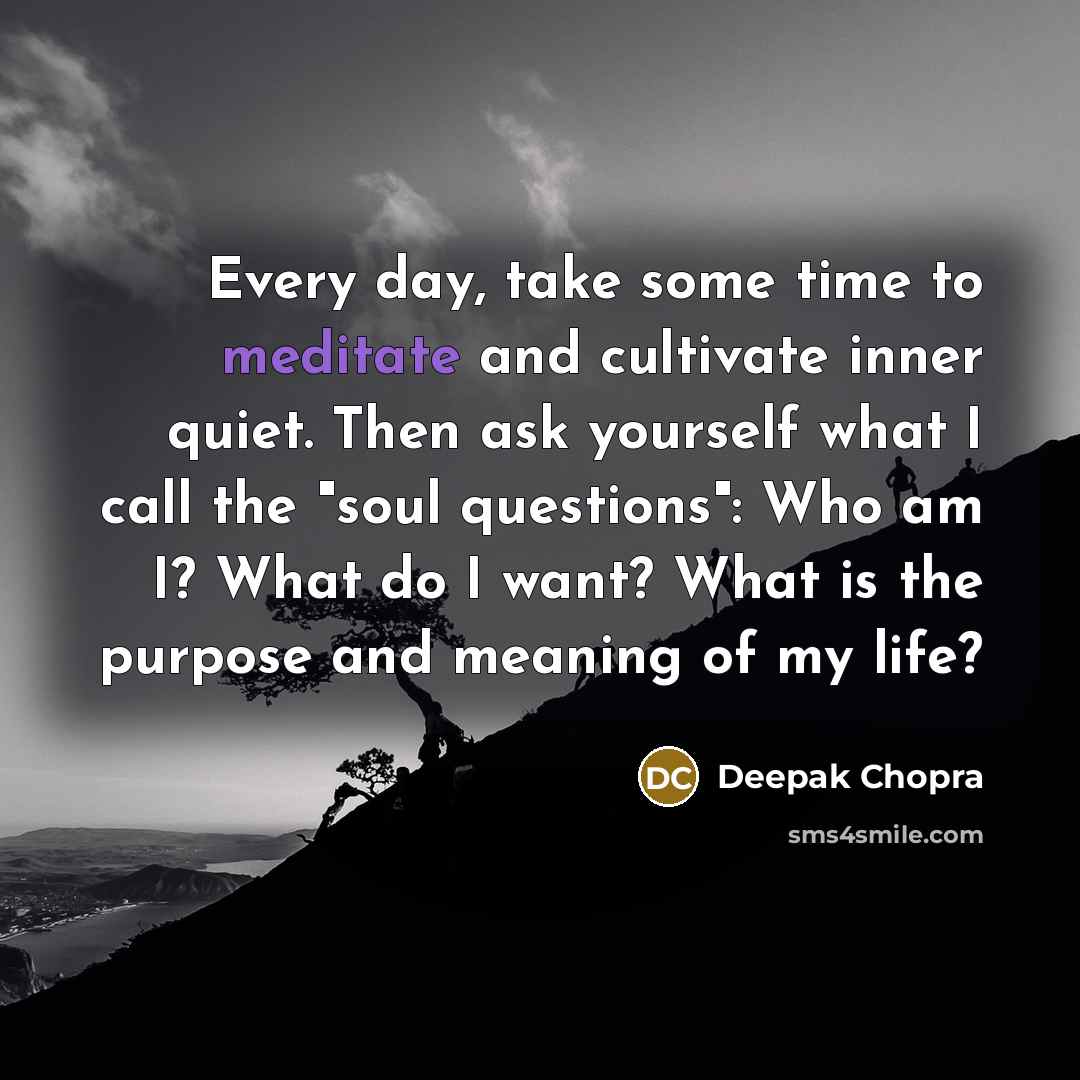“Every day, take some time to meditate and cultivate inner quiet. Then ask yourself what I call the "soul questions": Who am I? What do I want? What is the purpose and meaning of my life?” quote by Deepak Chopra
