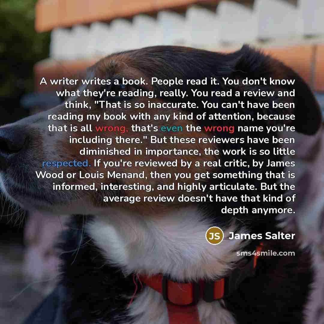 “A writer writes a book. People read it. You don't know what they're reading, really. You read a review and think, "That is so inaccurate. You can't have been reading my book with any kind of attention, because that is all wrong, that's even the wrong name you're including there." But these…” quote by James Salter