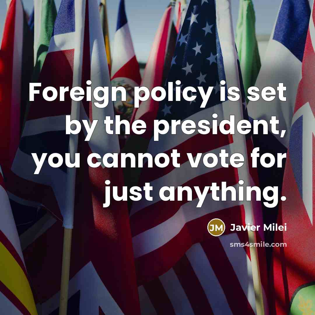 “Foreign policy is set by the president, you cannot vote for just anything.” quote by Javier Milei