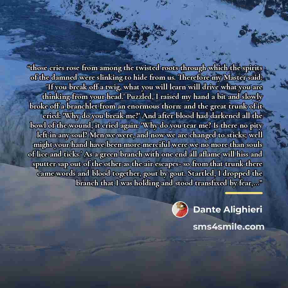 “those cries rose from among the twisted roots through which the spirits of the damned were slinking to hide from us. Therefore my Master said: 'If you break off a twig, what you will learn will drive what you are thinking from your head.' Puzzled, I raised my hand a bit and slowly broke off a…” quote by Dante Alighieri