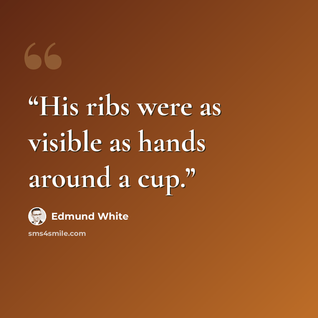 “His ribs were as visible as hands around a cup.” quote by Edmund White