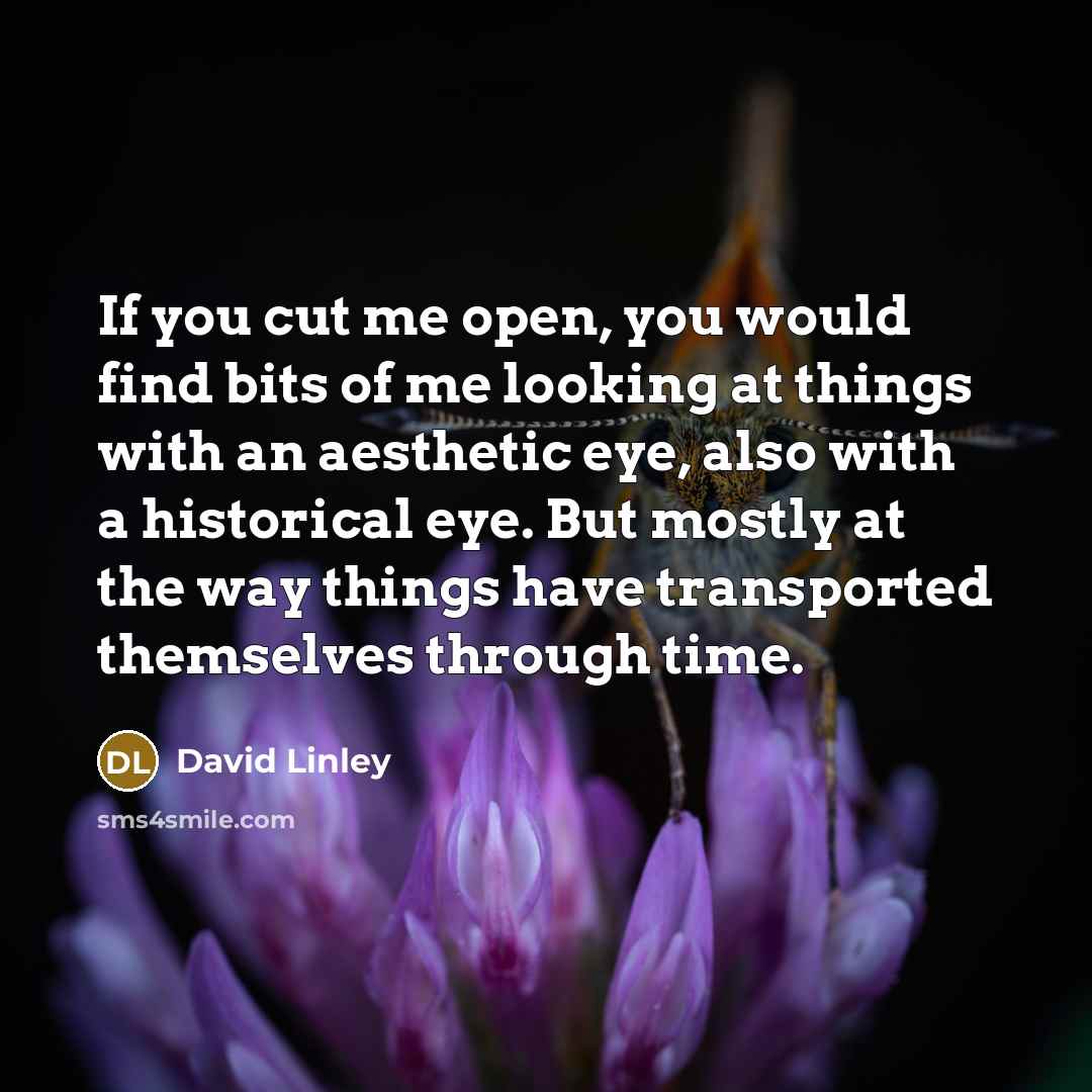 “If you cut me open, you would find bits of me looking at things with an aesthetic eye, also with a historical eye. But mostly at the way things have transported themselves through time.” quote by David Linley