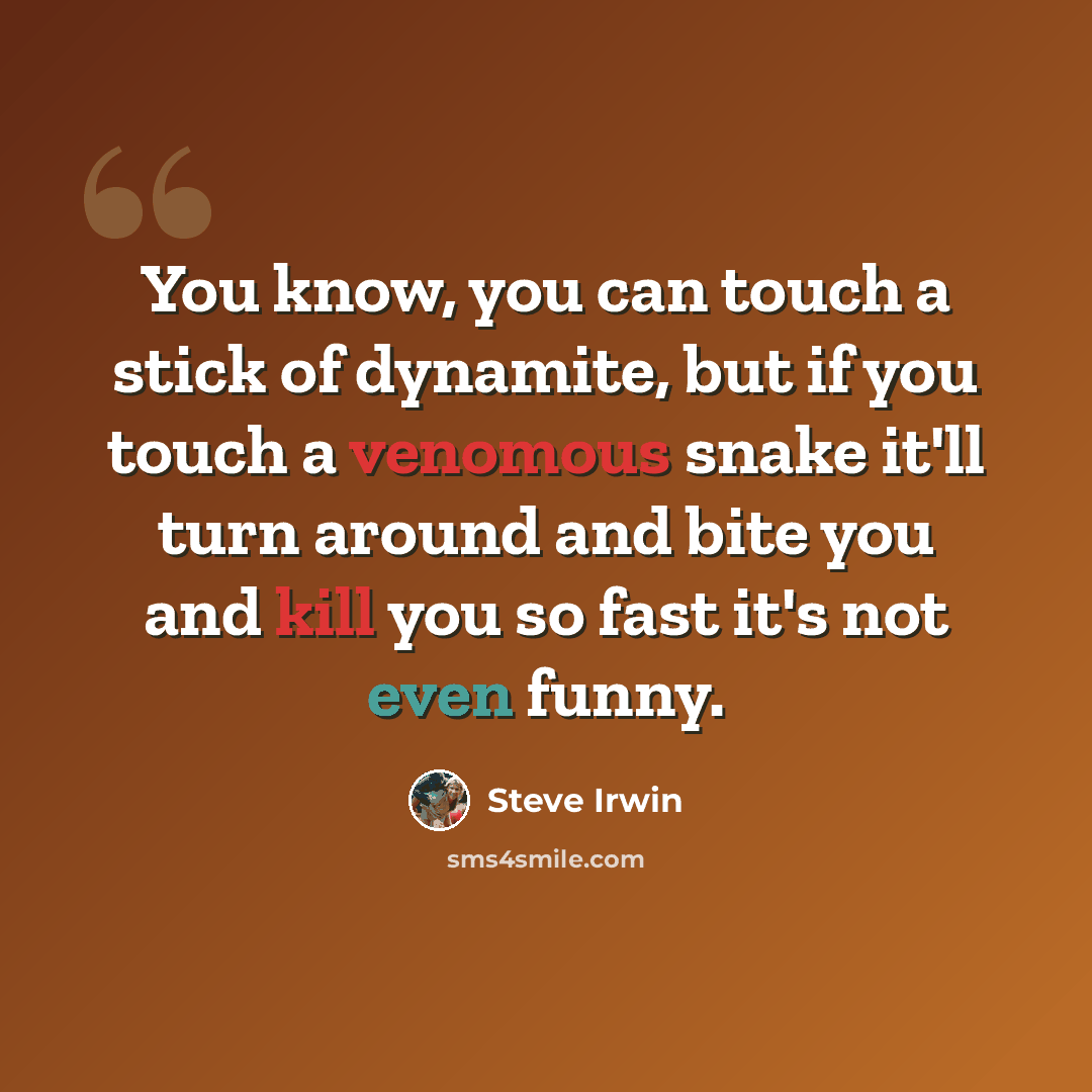 “You know, you can touch a stick of dynamite, but if you touch a venomous snake it'll turn around and bite you and kill you so fast it's not even funny.” quote by Steve Irwin