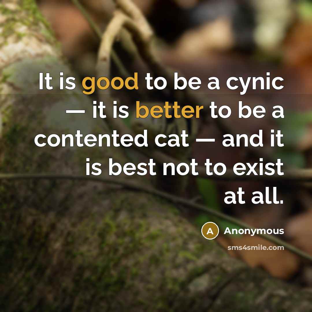 “It is good to be a cynic — it is better to be a contented cat — and it is best not to exist at all.” quote by Anonymous