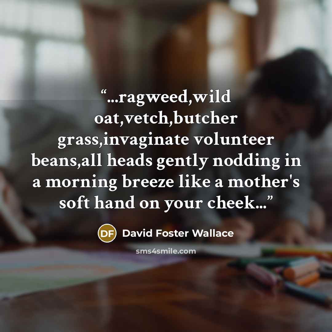 “...ragweed,wild oat,vetch,butcher grass,invaginate volunteer beans,all heads gently nodding in a morning breeze like a mother's soft hand on your cheek...” quote by David Foster Wallace
