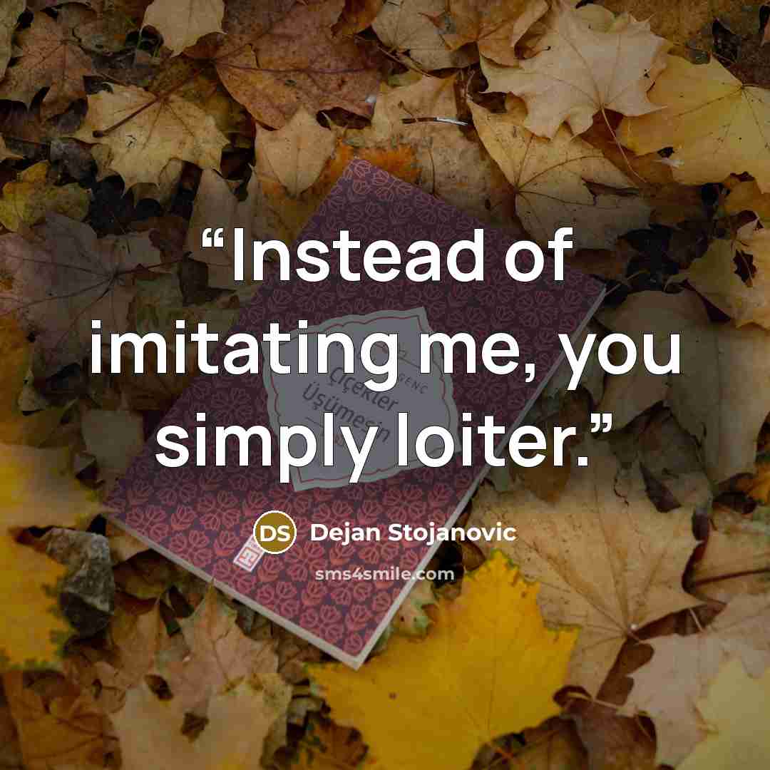 “Instead of imitating me, you simply loiter.” quote by Dejan Stojanovic
