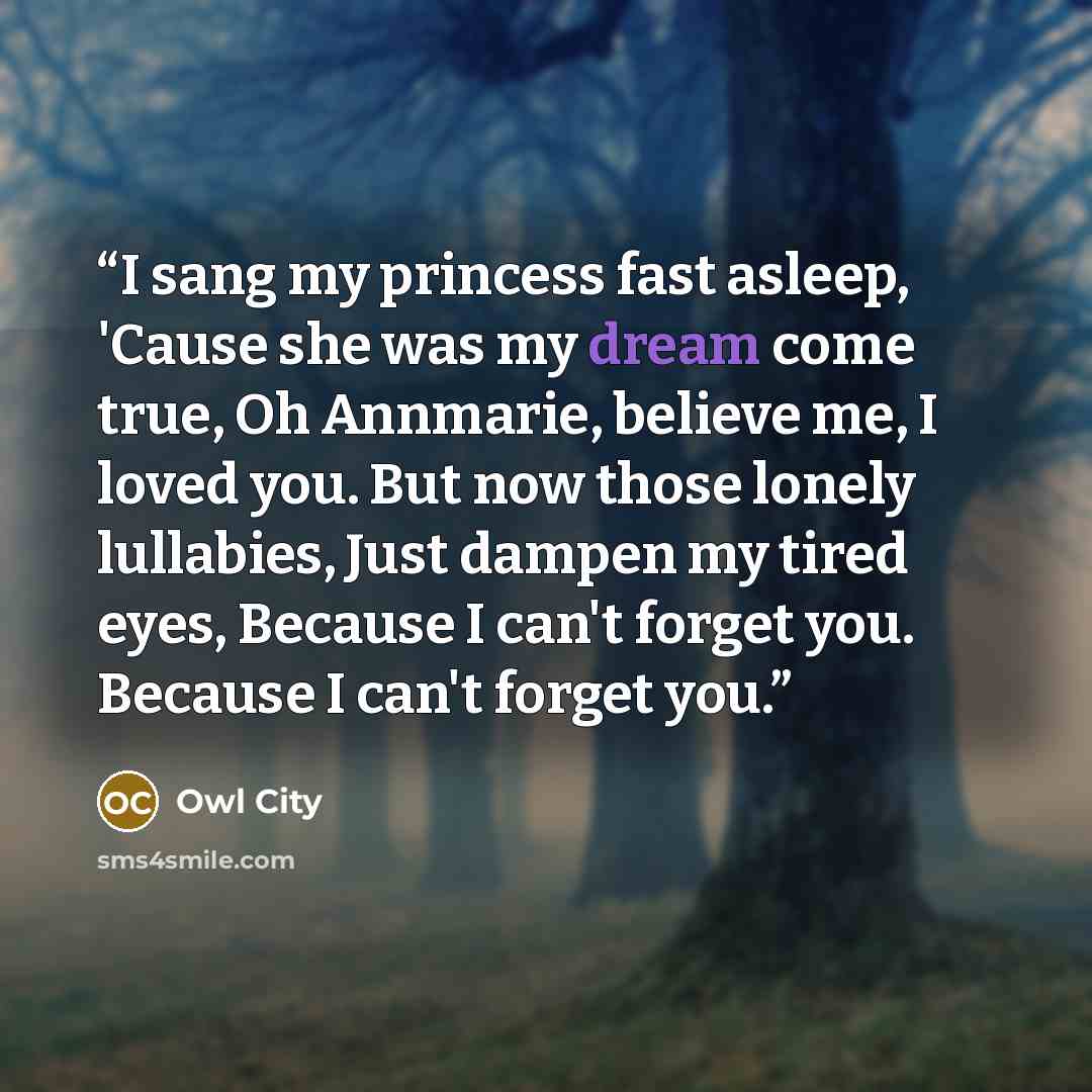 “I sang my princess fast asleep, 'Cause she was my dream come true, Oh Annmarie, believe me, I loved you. But now those lonely lullabies, Just dampen my tired eyes, Because I can't forget you. Because I can't forget you.” quote by Owl City