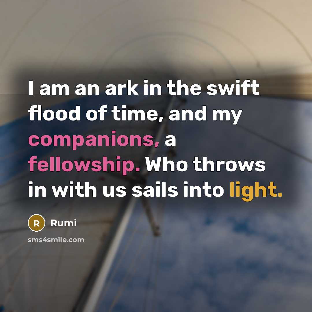 “I am an ark in the swift flood of time, and my companions, a fellowship. Who throws in with us sails into light.” quote by Rumi