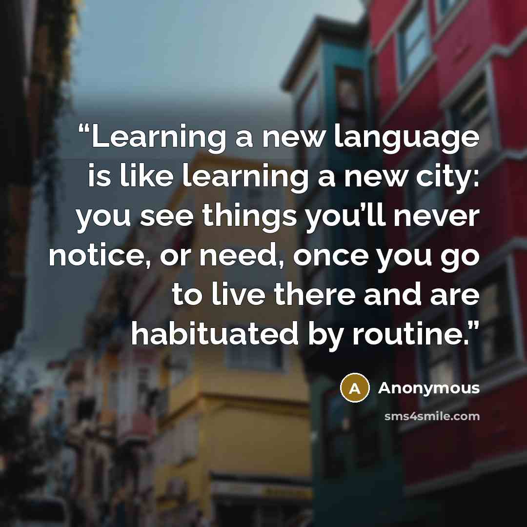 “Learning a new language is like learning a new city: you see things you’ll never notice, or need, once you go to live there and are habituated by routine.” quote by Anonymous