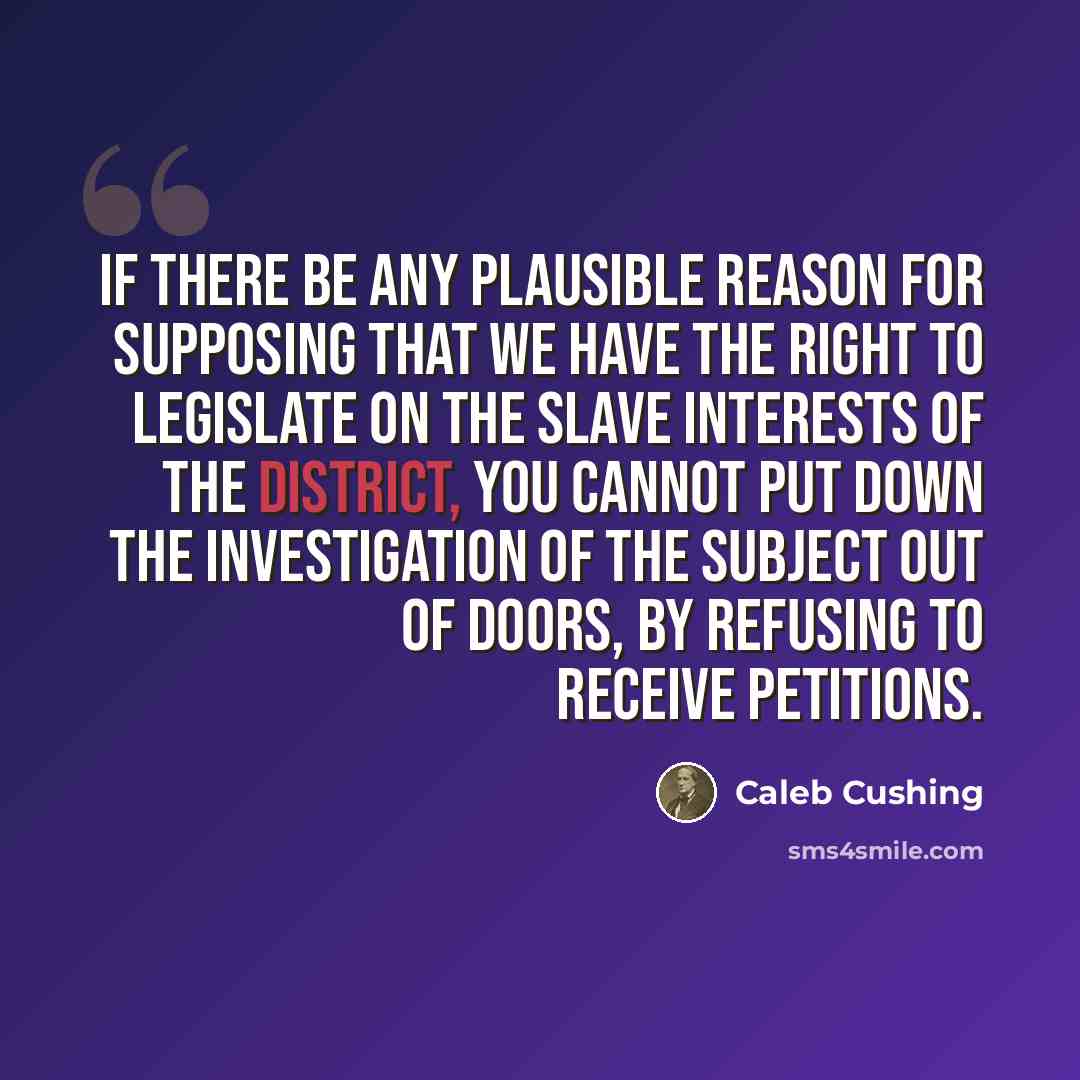 “If there be any plausible reason for supposing that we have the right to legislate on the slave interests of the District, you cannot put down the investigation of the subject out of doors, by refusing to receive petitions.” quote by Caleb Cushing