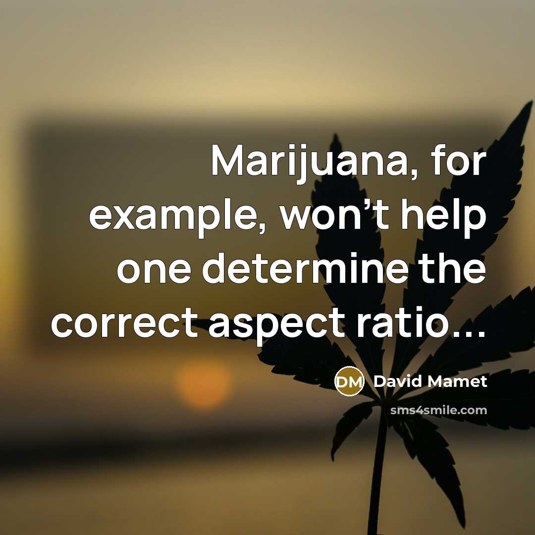 “Marijuana, for example, won't help one determine the correct aspect ratio...” quote by David Mamet