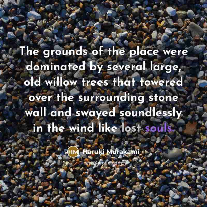 “The grounds of the place were dominated by several large, old willow trees that towered over the surrounding stone wall and swayed soundlessly in the wind like lost souls.” quote by Haruki Murakami