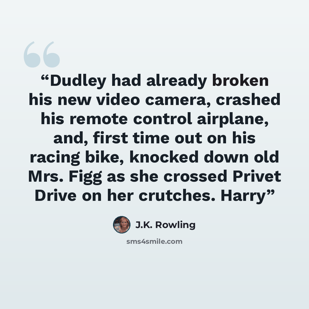 “Dudley had already broken his new video camera, crashed his remote control airplane, and, first time out on his racing bike, knocked down old Mrs. Figg as she crossed Privet Drive on her crutches. Harry” quote by J.K. Rowling
