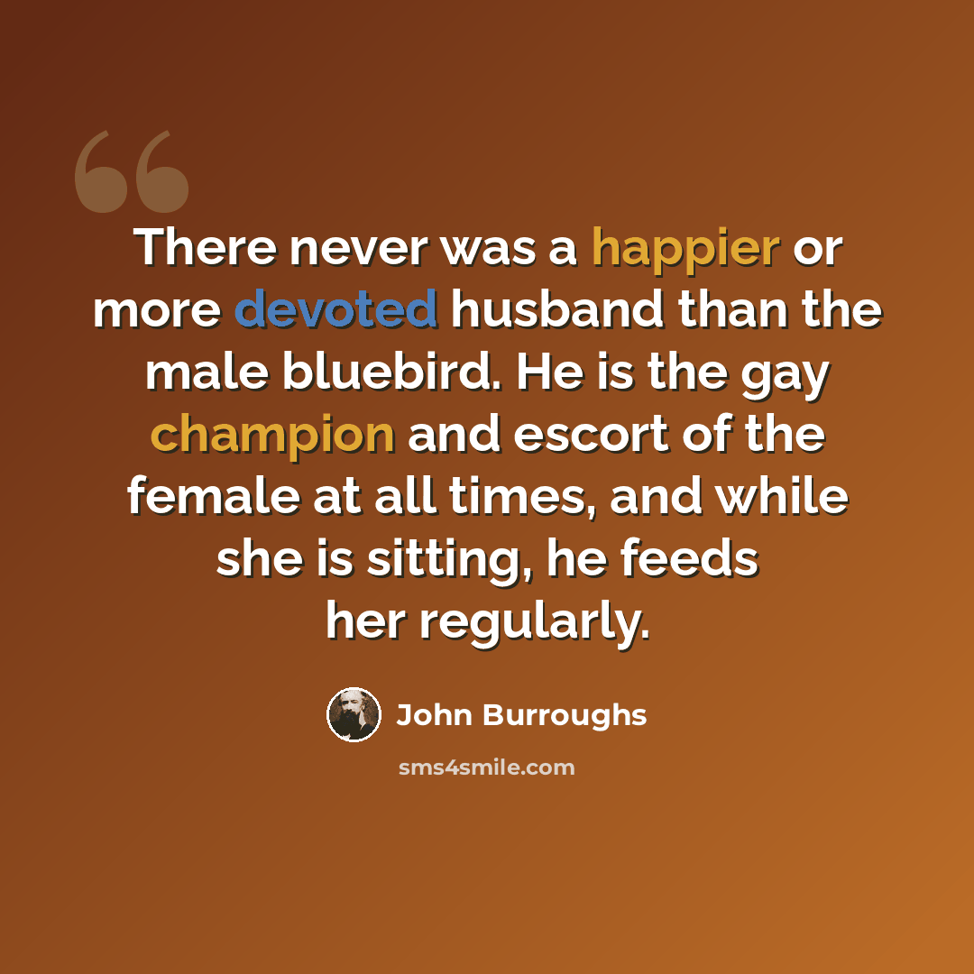 “There never was a happier or more devoted husband than the male bluebird. He is the gay champion and escort of the female at all times, and while she is sitting, he feeds her regularly.” quote by John Burroughs