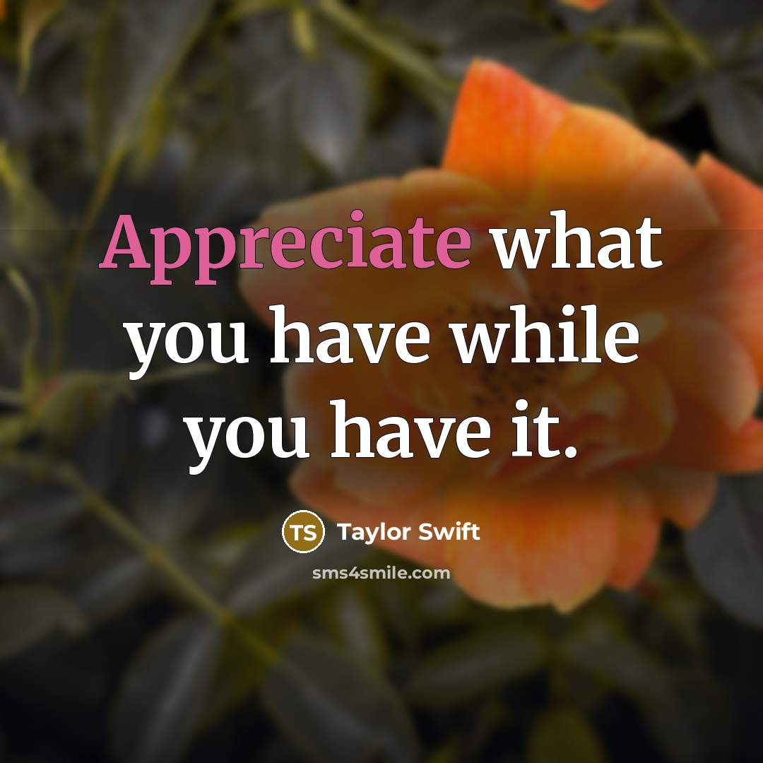 “Appreciate what you have while you have it.” quote by Taylor Swift