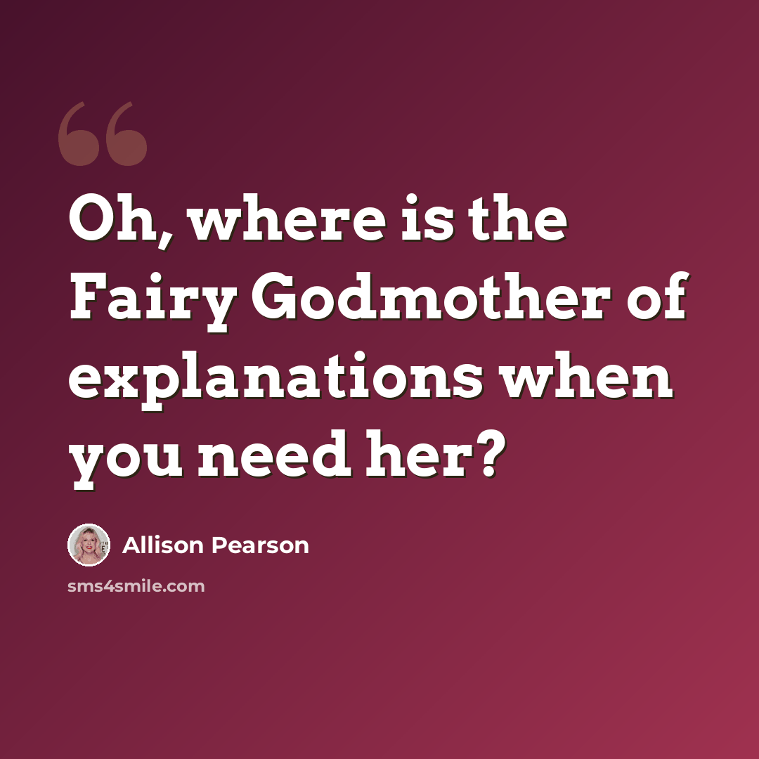 “Oh, where is the Fairy Godmother of explanations when you need her?” quote by Allison Pearson