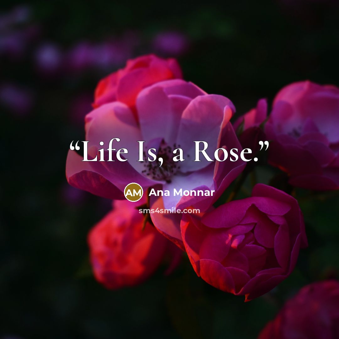 “Life Is, a Rose.” quote by Ana Monnar