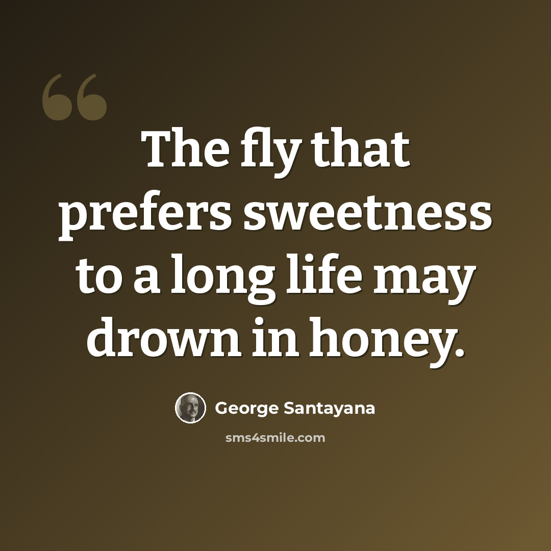 “The fly that prefers sweetness to a long life may drown in honey.” quote by George Santayana